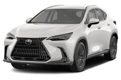Picture of the 2024 Lexus NX 350h 