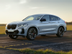 2022 BMW X4 SUV xDrive30i xDrive30i Sports Activity Coupe OEM Exterior Standard